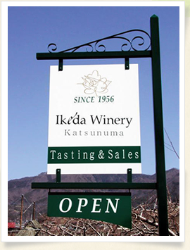 �C�P�_���C�i���[