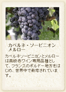 �J�x���l�E�\�[�r�j�I���A�������[