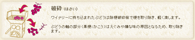 ���C�i���[�Ɏ������܂ꂽ�Ԃǂ��͏��[�j�Ӌ@�ō[����菜���A�y���ׂ��܂��B�Ԃǂ��̎��̕����i�ʍ[�F�������j�͂����݂⌙�Ȗ��̌����ƂȂ邽�߁A��菜���܂��B