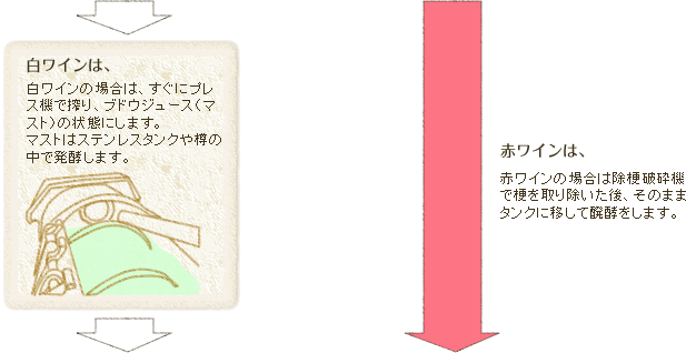 �����C���̏ꍇ�͂����Ƀv���X�@�ō��A�u�h�E�W���[�X�i�}�X�g�j�̏�Ԃɂ��܂��B�}�X�g�̓X�e�����X�^���N��M�̒��Ŕ��y���܂��B�ԃ��C���̏ꍇ�͏��[�j�Ӌ@�ō[����菜������A���̂܂܃^���N�Ɉڂ��Ĕ��y�����܂��B���y�I����Ƀv���X�@�ň���܂��B